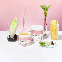 Sugar Paste Premium Prebiotic 01N° 1000g Sugar Paste Premium Prebiotic 01N° 1000g