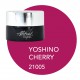 Yoshino Cherry 5ml