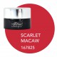 Plastiline Scarlet Macaw 5ml