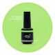 Brush N' Color MY HEAD IS A JUNGLE 10ml 