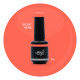 Brush N' Color RIGHT HERE 10ml