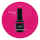 Brush N' Color WHATCHA SAY 10ml