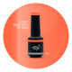 Brush N' Color DON'T MESS WITH MY MAN 10ml (Soft Cat Eye) LAUNCH 21.05.2026