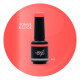 Brush N' Color BONNIE & CLYDE 10ml (Soft Cat Eye) 