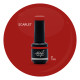 Brush N' Color SCARLET 10ml