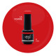 Brush N' Color LA FEMME 10ml (Crazy Horse) 10ml 