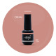 Brush N' Color CREAM 10ml
