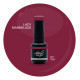 Brush N' Color LADY MARMELADE 8ml