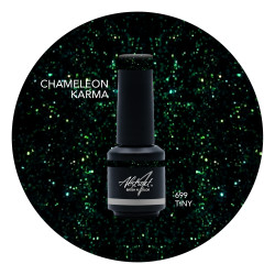 Brush N' Color CHAMELEON KARMA 8ml
