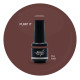Brush N' Color PUMP IT 8ml
