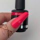 Brush N' Color BAD HABITS 10ml (Spice It Up) 10ml