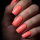 Brush N' Color RIGHT HERE 10ml