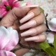 Chit Chat 15ml (Blush)