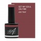 Set My Soul On Fire 7,5ml (Crazy In Love)
