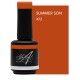 Summer Son 15ml (Jump on board)