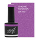 Chasing Rainbows 7,5ml ( Rainbows & Unicorns)