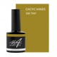 Exotic Minds 7.5ml