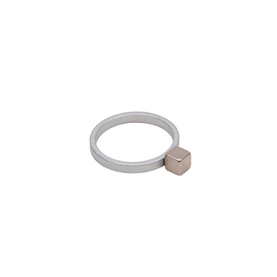 Cat Eye Magneet RING OF ATTRACTION
