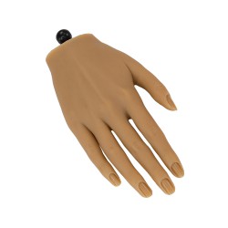 Silicone Oefenhand incl. houder GOLDEN RECHTS Silicone Oefenhand incl. houder GOLDEN RECHTS