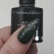 Shield & Sparkle CHAMPAGNE SUPERNOVA 7.5ml 