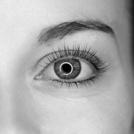 Informatiesessie: Lift Those Lashes (3 uur)
