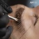 Brow Lamination