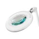 Magnifying Lamp Elegant Touch incl. Roll Stand