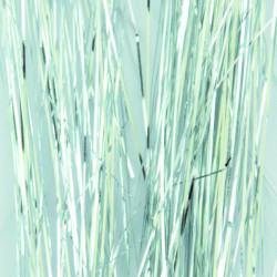 Striping Glitter Silver, Abstract Striping Glitter Silver, Abstract
