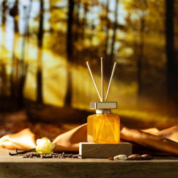 Fragrance Sticks Amber Delight 100ml Fragrance Sticks Amber Delight 100ml