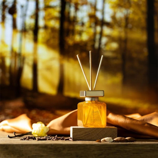 Bâtonnets de Parfum Ambre Délice 100ml