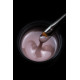 Classic Gel Medium - Dark Sand, 50ml
