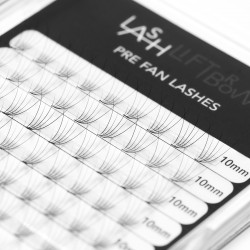 Pre Fan 5D Lashes D 0.07 x 10mm Pre Fan 5D Lashes D 0.07 x 10mm