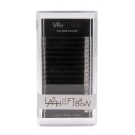 Volume Lashes C 0.06 x 11mm