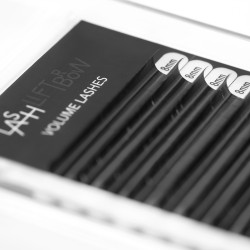 Volume Lashes D+ 0.06 x 8mm Volume Lashes D+ 0.06 x 8mm