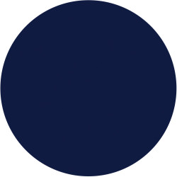 **** Polished Up Punk 15ml *DIS*