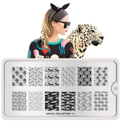 Animal 11 Animal 11