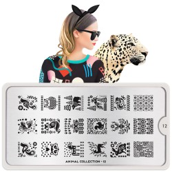 Animal 12 Animal 12