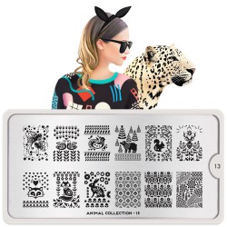 Animal 13 Animal 13