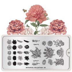 Botanical 03 Botanical 03