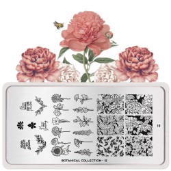 Botanical 12 Botanical 12