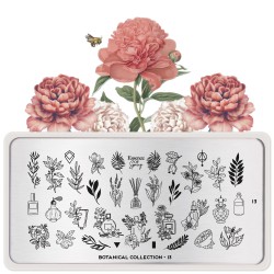 Botanical 13 Botanical 13