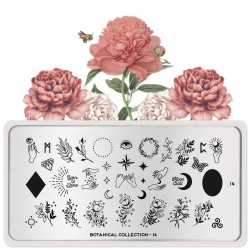 Botanical 14 Botanical 14