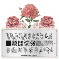 Botanical 15 Botanical 15