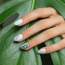 Botanical 18 Botanical 18