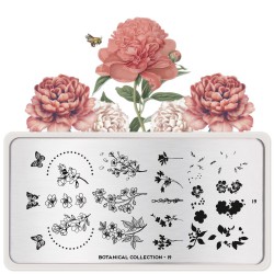 Botanical 19 Botanical 19