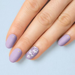 Botanical 19 Botanical 19