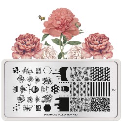 Botanical 20 Botanical 20