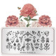 Botanical 23