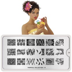 Tropical 19 Tropical 19