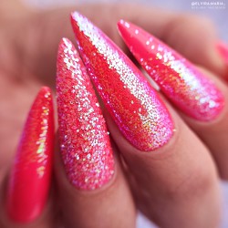 Glitter CANDY SHOP (Candy Shop) Glitter CANDY SHOP (Candy Shop)